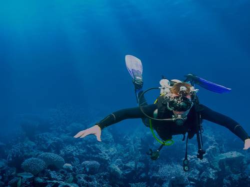 Anar Dive Center