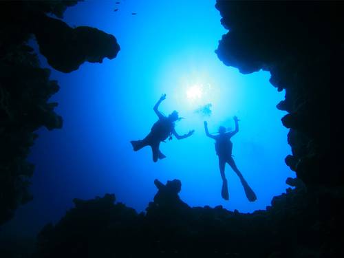 Fantasea Divers Dahab