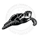 Black Turtle Dive