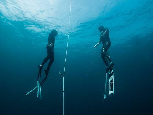 FAM by Freediving Adventure Malaysia