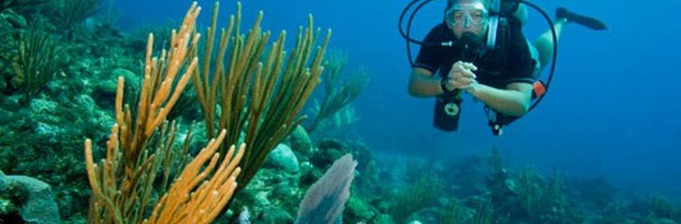 Divers Mast
