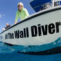 Off The Wall Divers