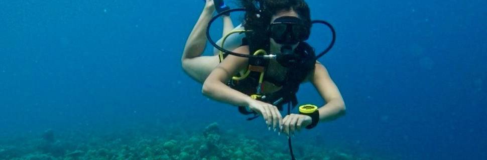 Divers Lodge Fulidhoo