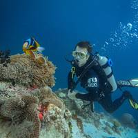 Afro Divers Lodge