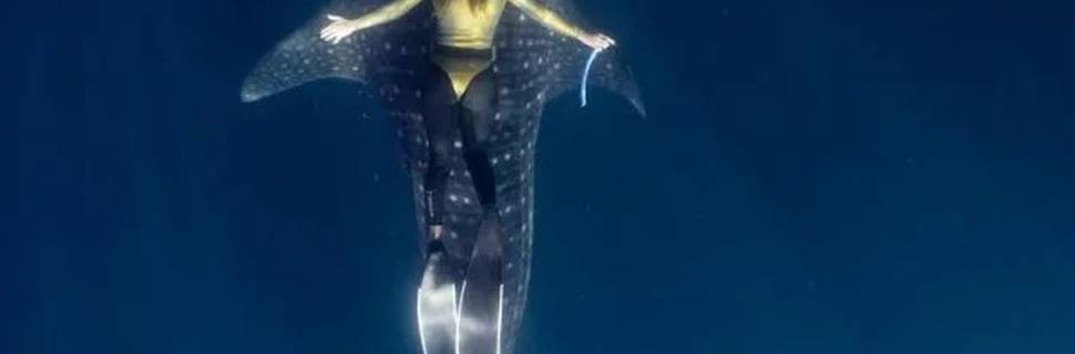Drake Divers
