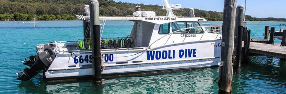 Wooli dive center