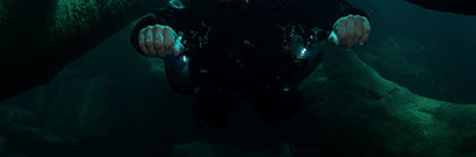 Pancora Diving