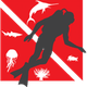 A-1 Scuba Diving & Snorkeling Adventures