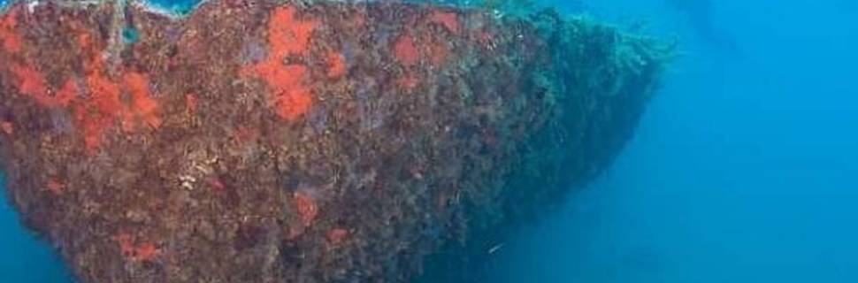Diving Montenegro