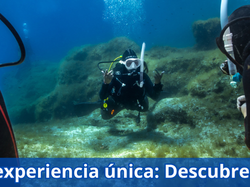 Super Dive Tossa de Mar