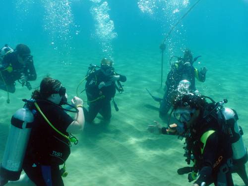 Diwa Dominicana 5 Star diving Center