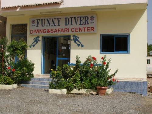 Funny divers