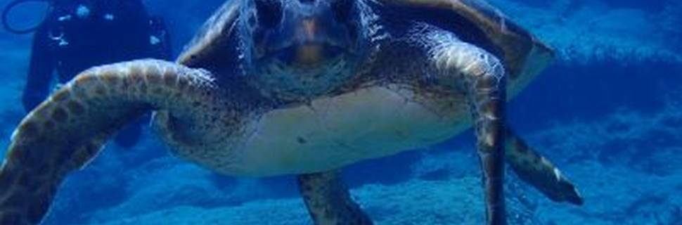 Atlantis Diving Center