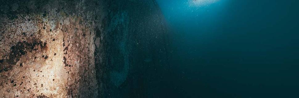 Koh Tao Divers - KTD