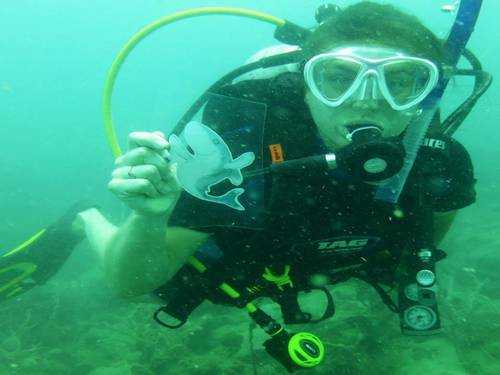 EcoSea Dive Center
