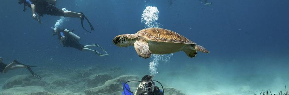 Aquanaut Diving School