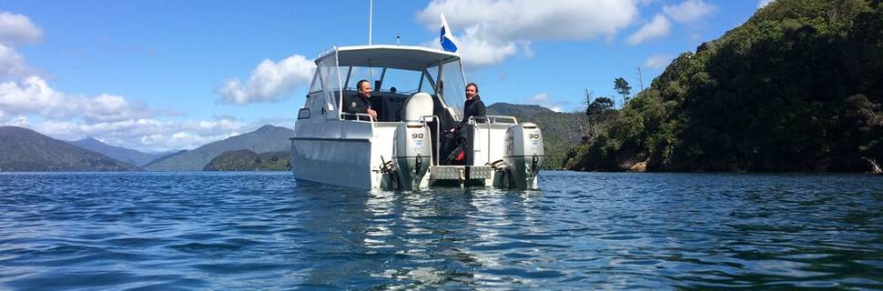 Blenheim Dive Centre
