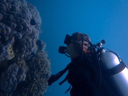 Katembe Dive Resort