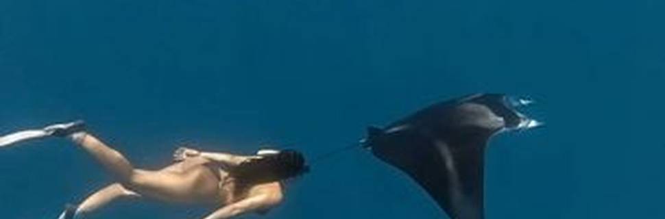 Sea Monkey Maldives
