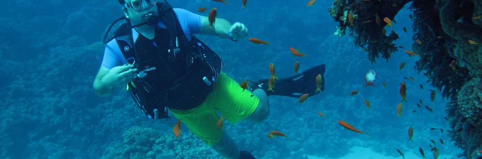 Tauchen Marsa Alam - Deutsche Tauchschule von Padi, Cmas, Ssi.