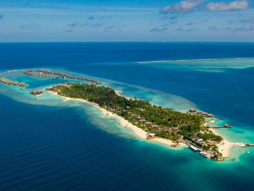 Best Dives Bolifushi