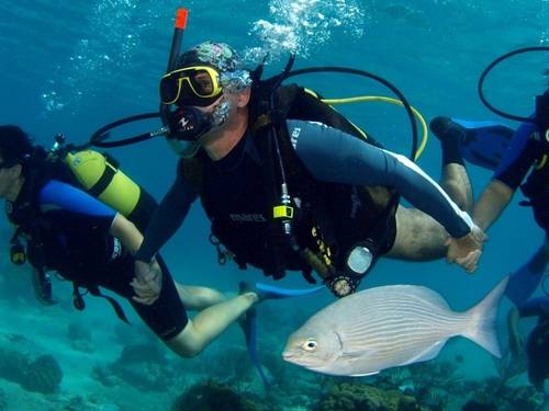 Varadero Diving Tour