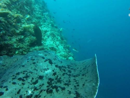 Dive Centre