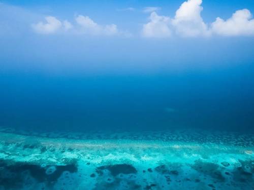 Prodivers Jawakara