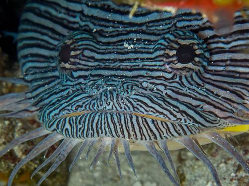 Cozumel Marine World