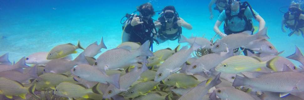 Cozumel Scuba Planet