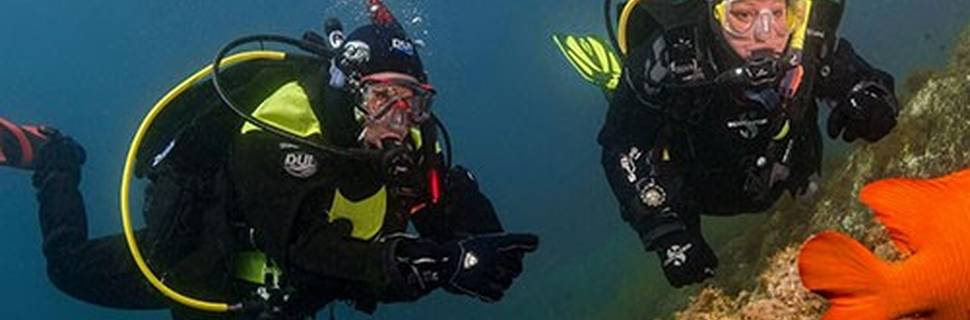 Dive and Sea Sports