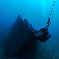 Hawaii Eco Divers