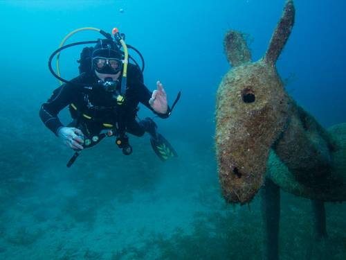 Donkey Divers Limited