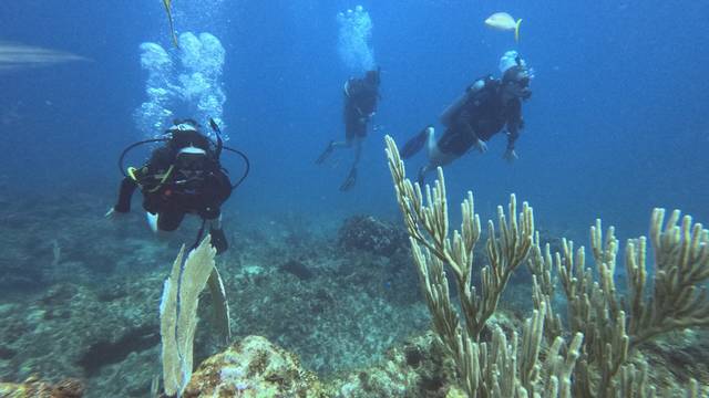 Dolin Dive Center