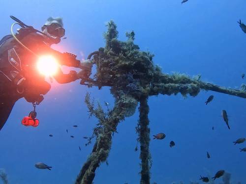 Dawn Diving