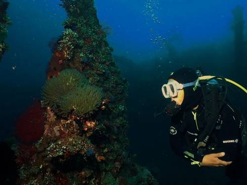 Exotis Bali Diving