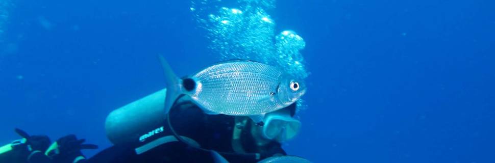 Olympos Diving Center