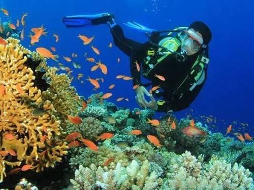 White Wave Maldives PVT LTD