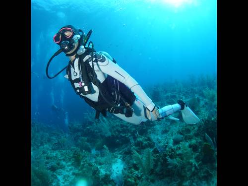 School of Fish Swim and Scuba Inc.