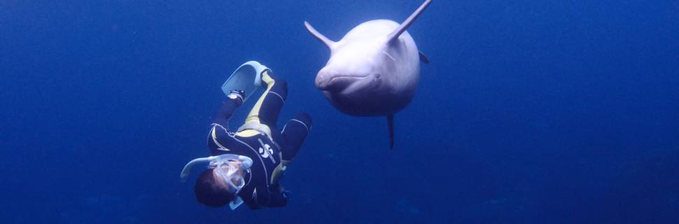 TOKYO DIVING CENTER