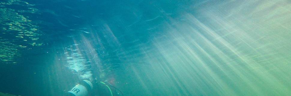 Rainforest Scuba