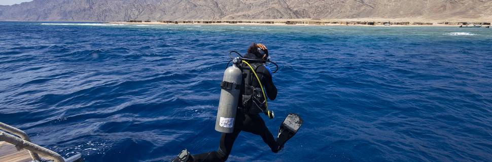 Reef 2000
