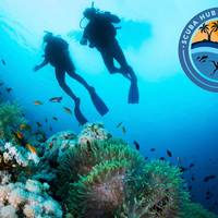 Scuba Hub Diving Club