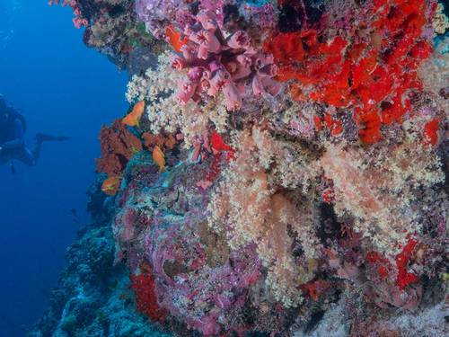 Milaidhoo Maldives
