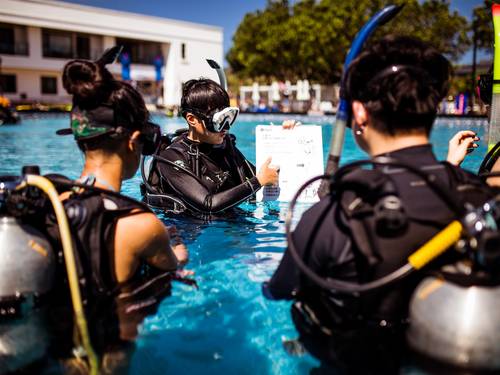 L.N.T.O Ocean Dive
