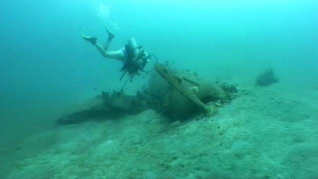 Dive Gizo - Adventure Sports