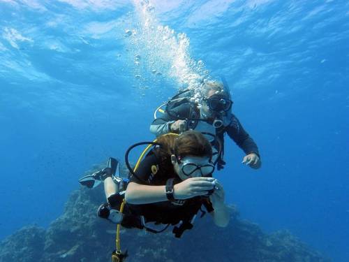DREAM TEAM DIVERS