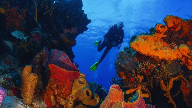 Tauchen Hurghada Dive | Scuba Diving Center in Hurghada, PADI Courses