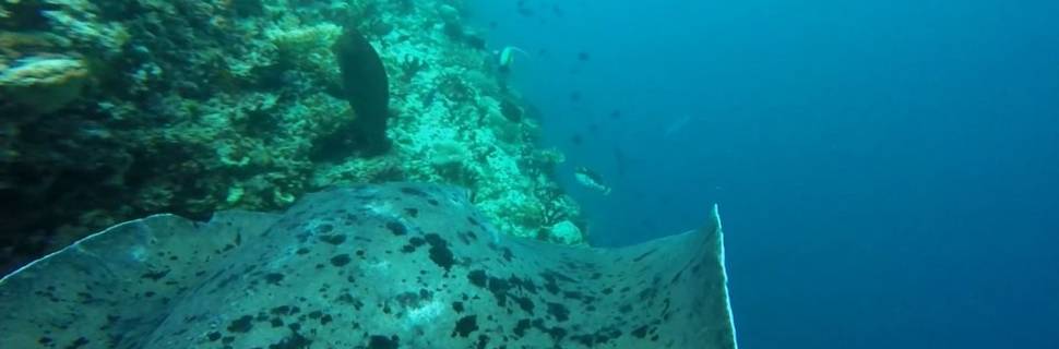 Dive Centre