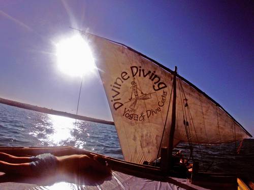 Divine Diving Yoga & Diving Center
